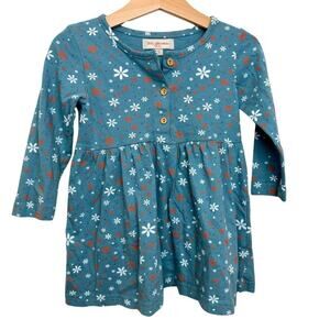 Baby Harvest Long Sleeve Dress with Button Detail at Front 2T